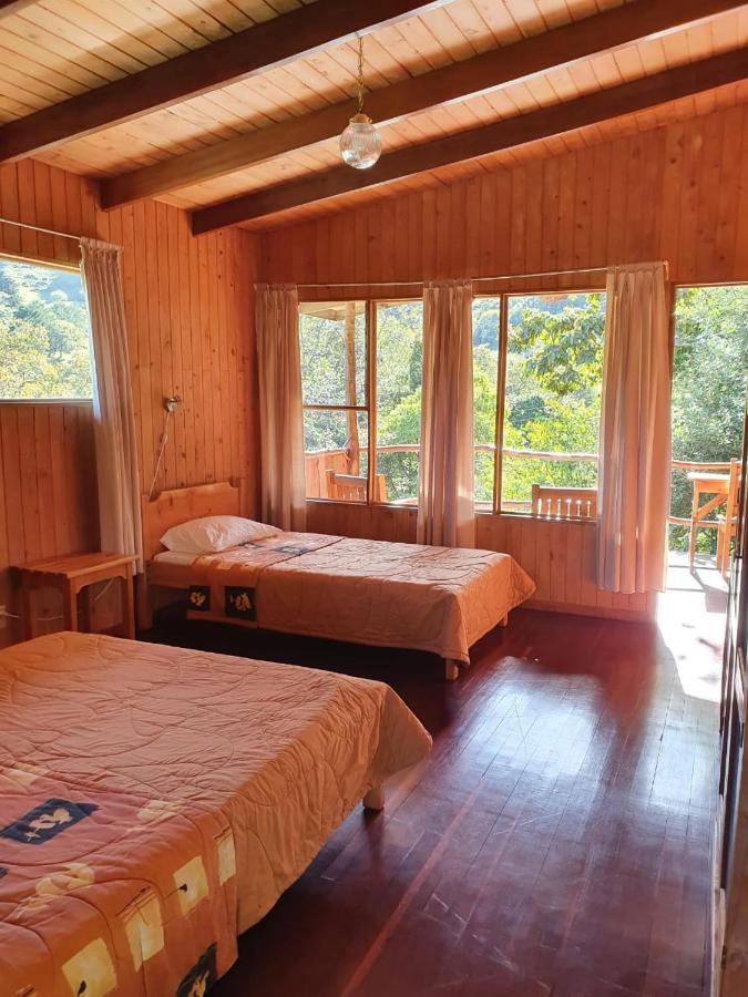 El Toucanet Lodge Copey Eksteriør billede