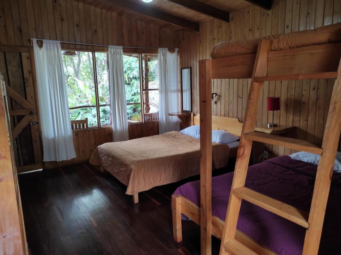 El Toucanet Lodge Copey Eksteriør billede